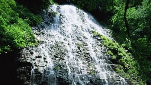 绿色先进高端